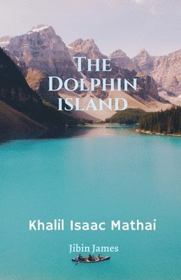bokomslag Dolphin Island