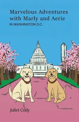 Juliet Cody - Marvelous Adventures with Marly and Aerie in Washington D.C., Häftad