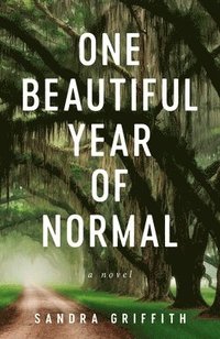 bokomslag One Beautiful Year of Normal