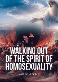 bokomslag Walking Out of the Spirit of Homosexuality
