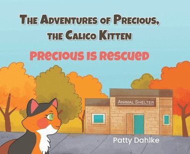 bokomslag Adventures of Precious, the Calico Kitten