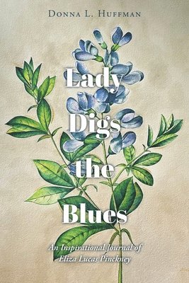 bokomslag Lady Digs the Blues: An Inspirational Journal of Eliza Lucas Pinckney