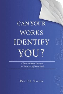 T L Taylor - Can Your Works Identify You?, Häftad