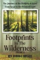 Footprints in the Wilderness (Volume 1): The Journey of the Children of Israel From Egypt to the Promised Land 1