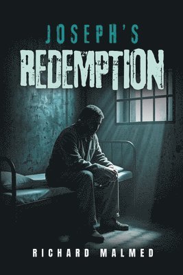 bokomslag Joseph's Redemption