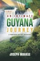 bokomslag An Intimate Guyana Journey: A Pomeroon Destiny Uncovered