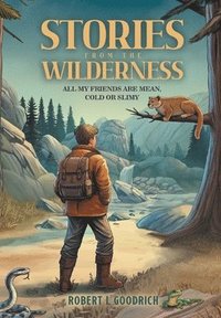 bokomslag Stories from the Wilderness
