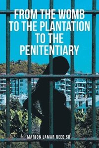 bokomslag From the Womb to the Plantation to the Penitentiary