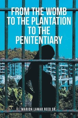 bokomslag From the Womb to the Plantation to the Penitentiary