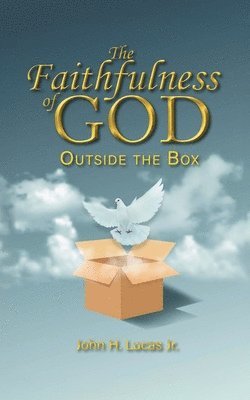 bokomslag The Faithfulness of God Outside the Box