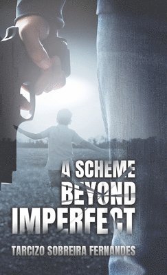 bokomslag Scheme Beyond Imperfect