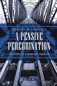 bokomslag Pensive Peregrination