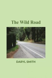bokomslag The Wild Road