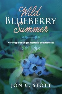 bokomslag Wild Blueberry Summer