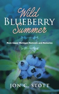 bokomslag Wild Blueberry Summer