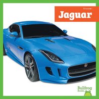 bokomslag Jaguar