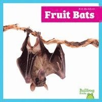 Lily Austen - Fruit Bats, Inbunden