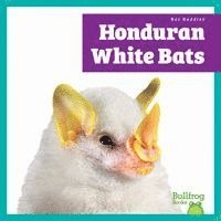 Jenna Lee Gleisner - Honduran White Bats, Häftad