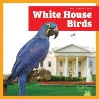 Lily Austen - White House Birds, Häftad