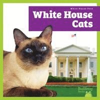 Lily Austen - White House Cats, Inbunden