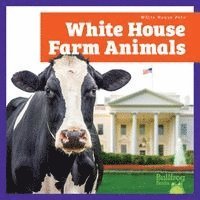 Lily Austen - White House Farm Animals, Häftad