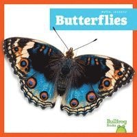 Adeline J. Zimmerman, Adeline J Zimmerman - Butterflies, Häftad