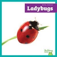 Genevieve Nilsen - Ladybugs, Inbunden