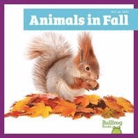 Norrie Harvey - Animals in Fall, Inbunden