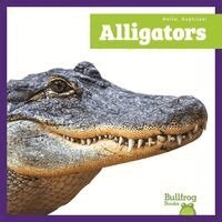 Tessa Kenan - Alligators, Inbunden