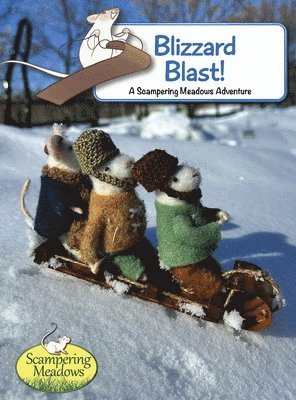 bokomslag Blizzard Blast