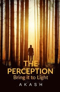 bokomslag Perception