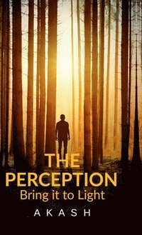 bokomslag Perception