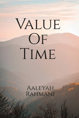 bokomslag Value Of Time