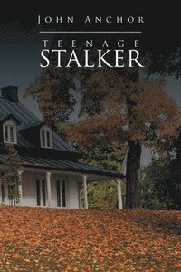 bokomslag Teenage Stalker
