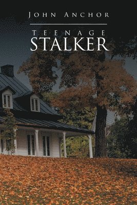 bokomslag Teenage Stalker