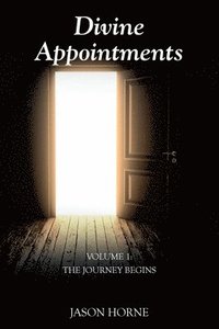bokomslag Divine Appointments