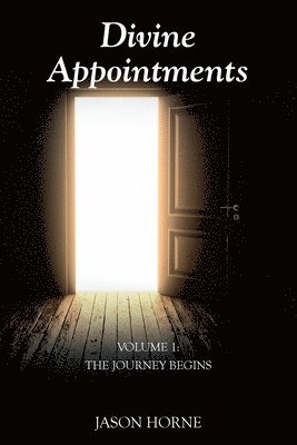 bokomslag Divine Appointments