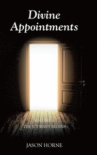bokomslag Divine Appointments