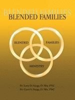 bokomslag Blended Families
