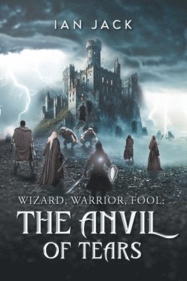 bokomslag Wizard, Warrior, Fool