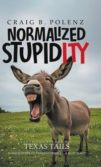 bokomslag Normalized Stupidity