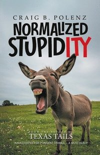 bokomslag Normalized Stupidity