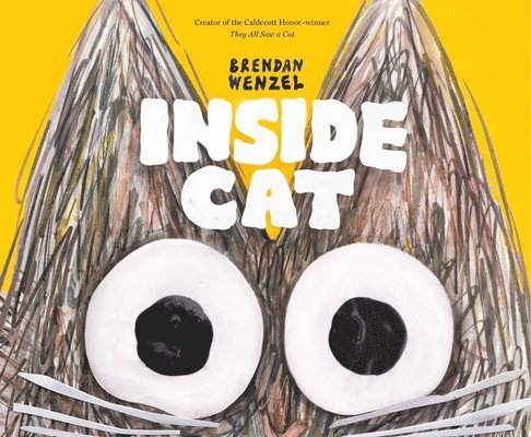 Inside Cat