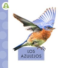 bokomslag Los Azulejos