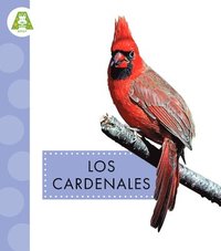 bokomslag Los Cardenales