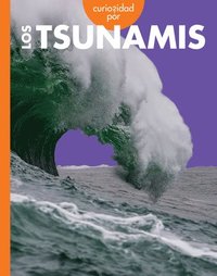 bokomslag Curiosidad Por Los Tsunamis