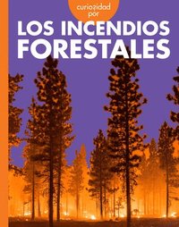 bokomslag Curiosidad Por Los Incendios Forestales