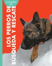 bokomslag Curiosidad Por Los Perros de Búsqueda Y Rescate