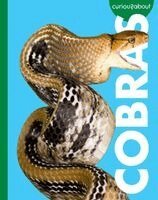 Rachel Grack - Curious about Cobras, Häftad