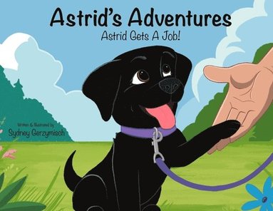 bokomslag Astrid's Adventures